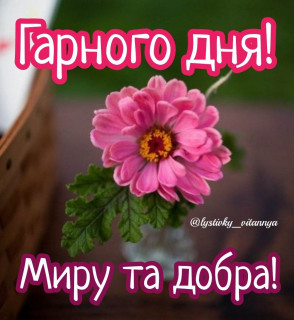 IMG-d416451de8eee2dd396598d5b81008f0-