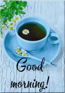 GIF-e216a2f6c11ca6bb0225ce161ea9785a