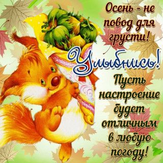 tqVpwSViH-o