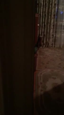 video-93b0a47d726f6923e5e024267c5f0670-V