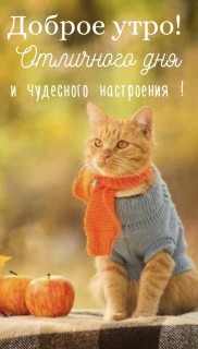 IMG-a2e405a87f82b068cc5602a4c4077dc1