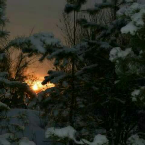 My_Movie_янв__20_2018_16_06_13