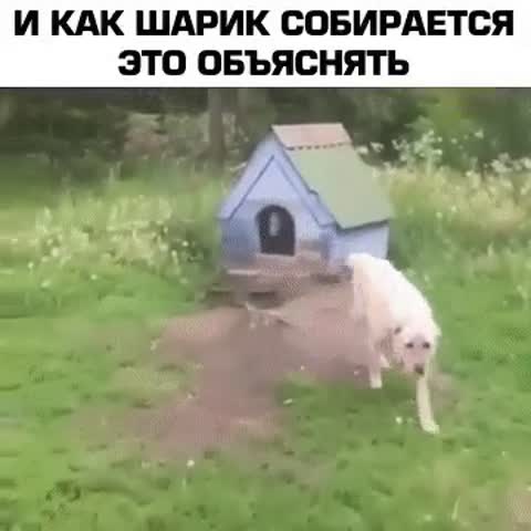 любовь слепа