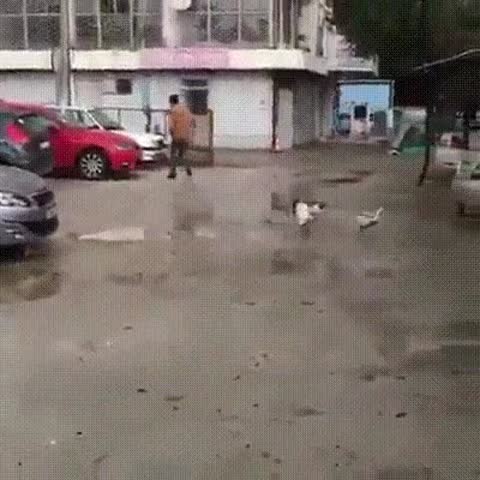 моя женщина