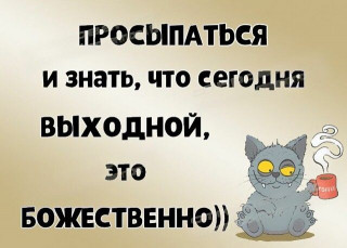 IMG-6129a01562bcc8812db1c17690b1e2bd-