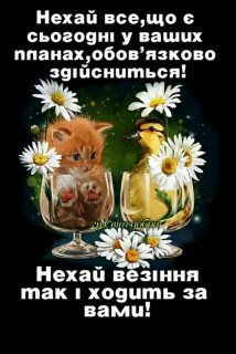 FB_IMG_16643699268225533