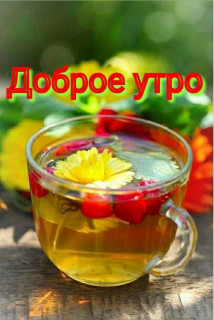 IMG-2b088bd0f51a9c581ec224ce5f176e86-