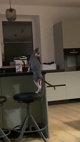 -Крутящий-Момент-