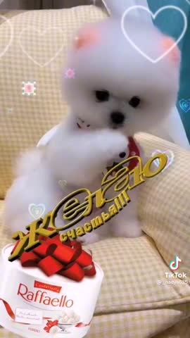 583614db1bfaaa4017218aa73ce9de36