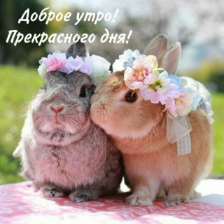 IMG-a5543ccec7109e0036c907e143d4e5a3-