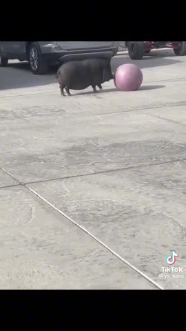 e03d9a85a909fdd503d2cfd92f49a486