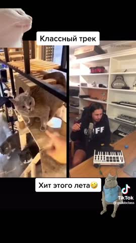 леко_леко