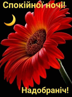 IMG-07e923b8c324550c66f07e2cd22adfd5-V