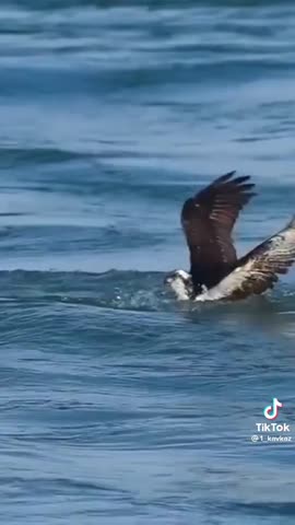 c33b4d63eb8f1060423cbcebc4d5add7