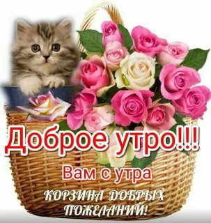 lDeORh6vqRY