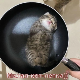1fPVySSNpO0
