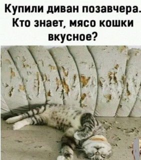 aipJdXONm7o