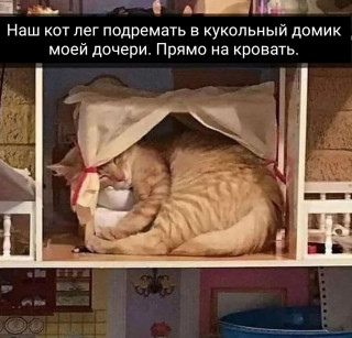 hY3NcRDKVLY