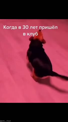 269860080_345365480310223_2803066773231679395_n_1