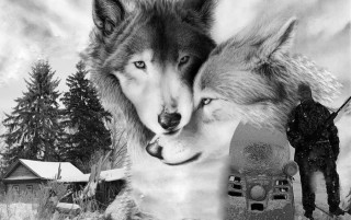 Volk_i_Volchica-_