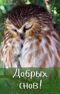 IMG-b0e6d64481fe163861a6de3c126a0e15-V