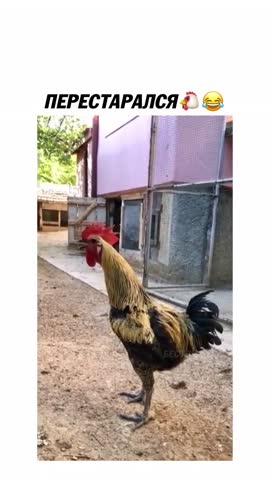 перестарался