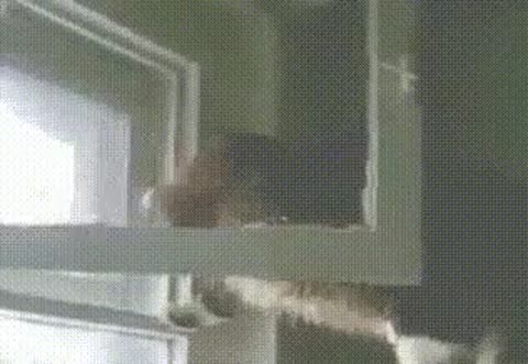 Форточка