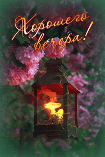 GIF-41a755307aac54b8dbae8f46652b2ca9