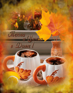 GIF-9dc4078a76f24cddec0aa4709d33fda0