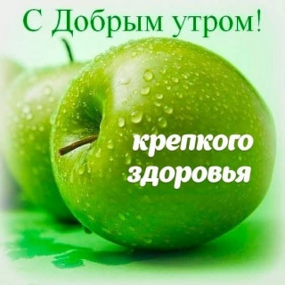 hZDhp7pVShQ