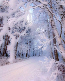 FB_IMG_16662532838286816