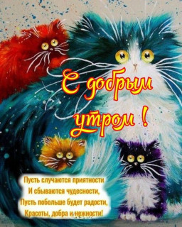 IMG-e800f9d5ae57af7d4d237865d3cce291-V