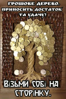 FB_IMG_16664404454868460