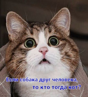 IMG-73fc40d2c534a2644b1c591b4a76d7ae-V