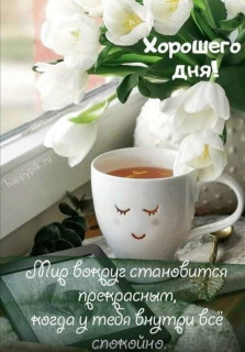 IMG-29d0805eae307a173ddf8dd76fe51ddc-V