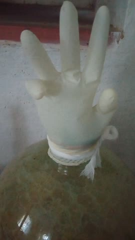 перчатка_вино0