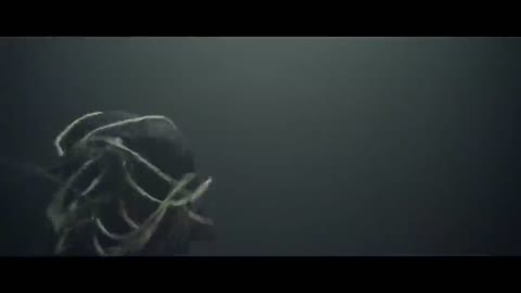 INFECTED_RAIN_-_Black_Gold_Official_Video_Napalm_Recor-spcs_social