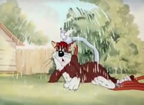 Tom_i_Dzherri_Neschastnye_koty_320