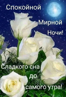 IMG-4f51e8327b5f450b587403fdcf2470c9-V