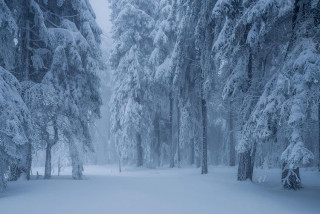 KG2jKc89-Zoi5Wjzfx-lv3402PBjqCLw4C4lsOYP7n-llUgMfTGFylL8PqM7jYduLkpz3sjIJstBwI1uYkZTklPD