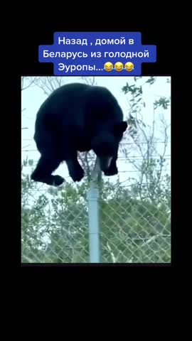 Домой в Белорусь