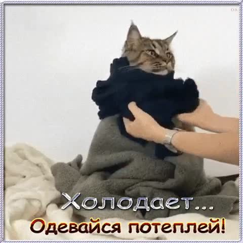 Одевайся теплее