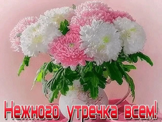 eb_5D971TBc