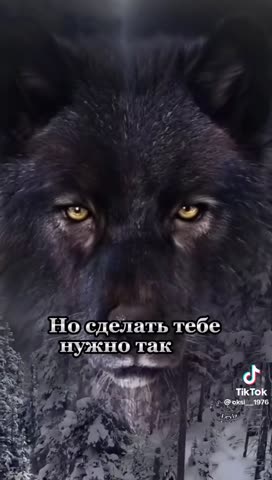 c367624d5cc958f8723e6d771de67ec2