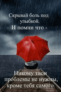 GIF-24ddb5977fefd1263c0475fb66c55711