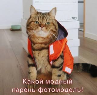 VS3YQMsL9DI