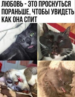 -KosdfmbbSA