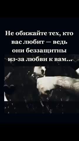 313438611_782032889554370_7742451526136493832_n