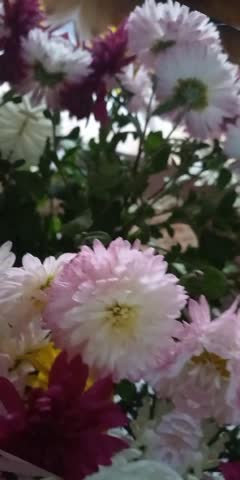 video-3553781802e04fc20f78ec7f76d1b76f-V