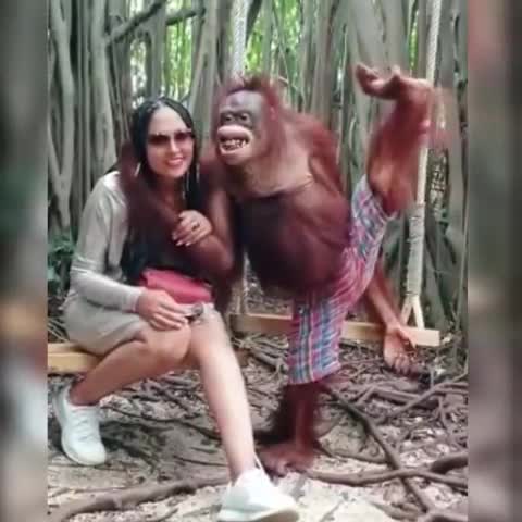 кавалер_года